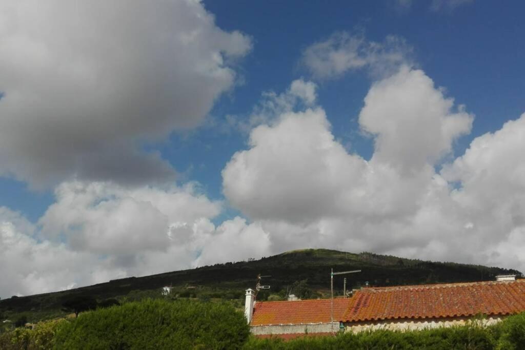 Almeirinhos de Baixo Villa - Torres Vedras, Lisbon Country Side מראה חיצוני תמונה