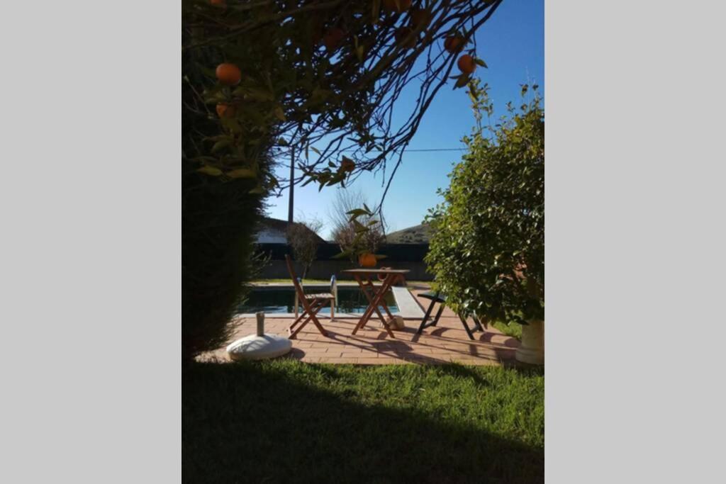 Almeirinhos de Baixo Villa - Torres Vedras, Lisbon Country Side מראה חיצוני תמונה